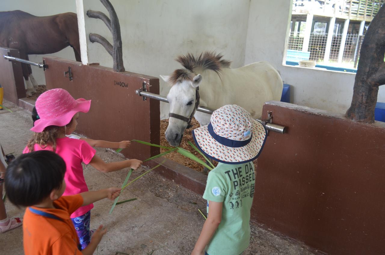 Sinar Eco Resort Kampong Bukit Panjang Eksteriør bilde