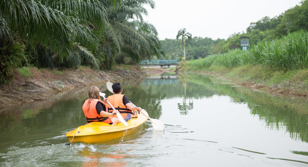 Sinar Eco Resort Kampong Bukit Panjang Eksteriør bilde