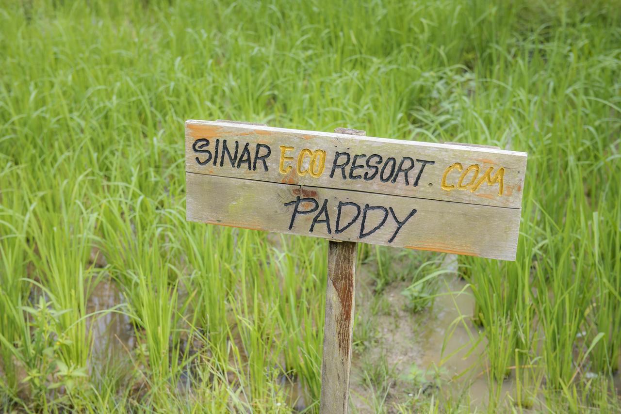 Sinar Eco Resort Kampong Bukit Panjang Eksteriør bilde