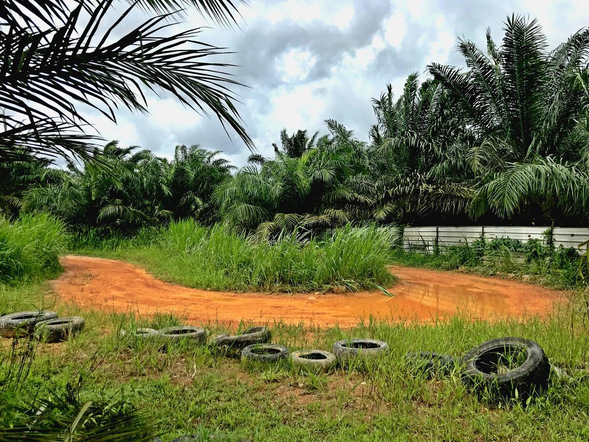 Sinar Eco Resort Kampong Bukit Panjang Eksteriør bilde